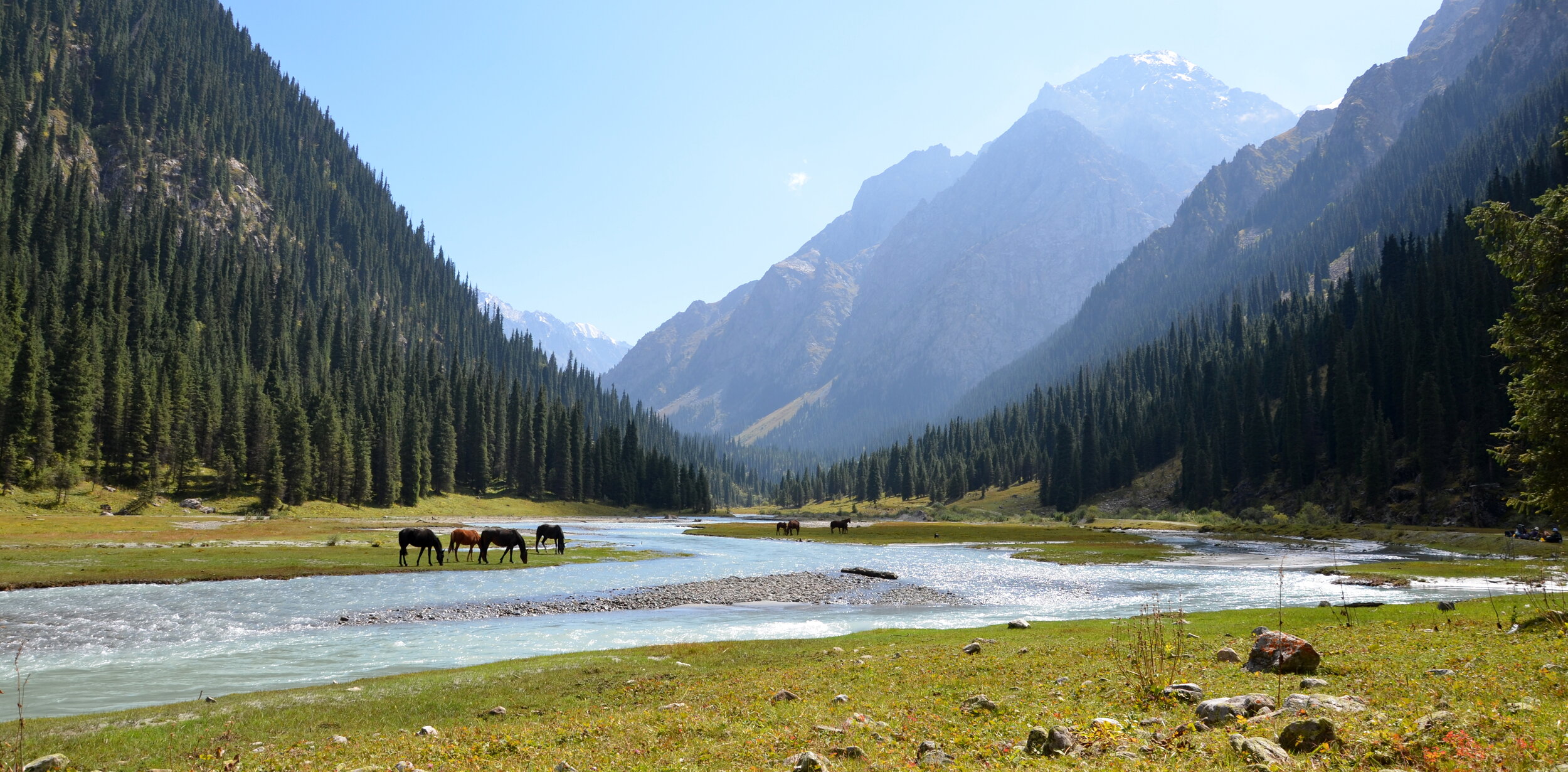 Image for central asia